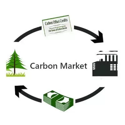 carbon market