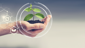 BÀI HỌC ĐẮT GIÁ CHO CÁC DOANH NGHIỆP TRONG “THỜI KỲ” COVID 19