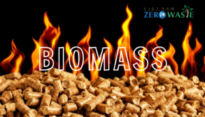 biomass