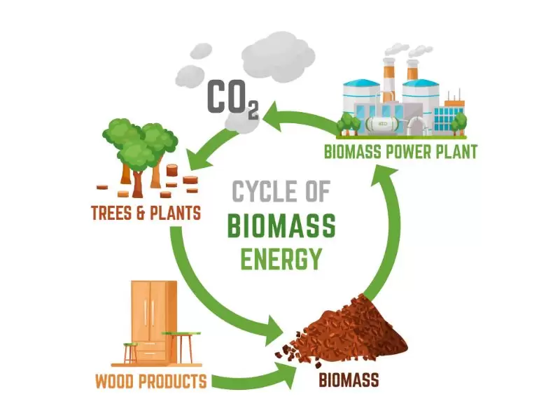 Biomass, sinh khối là gì?