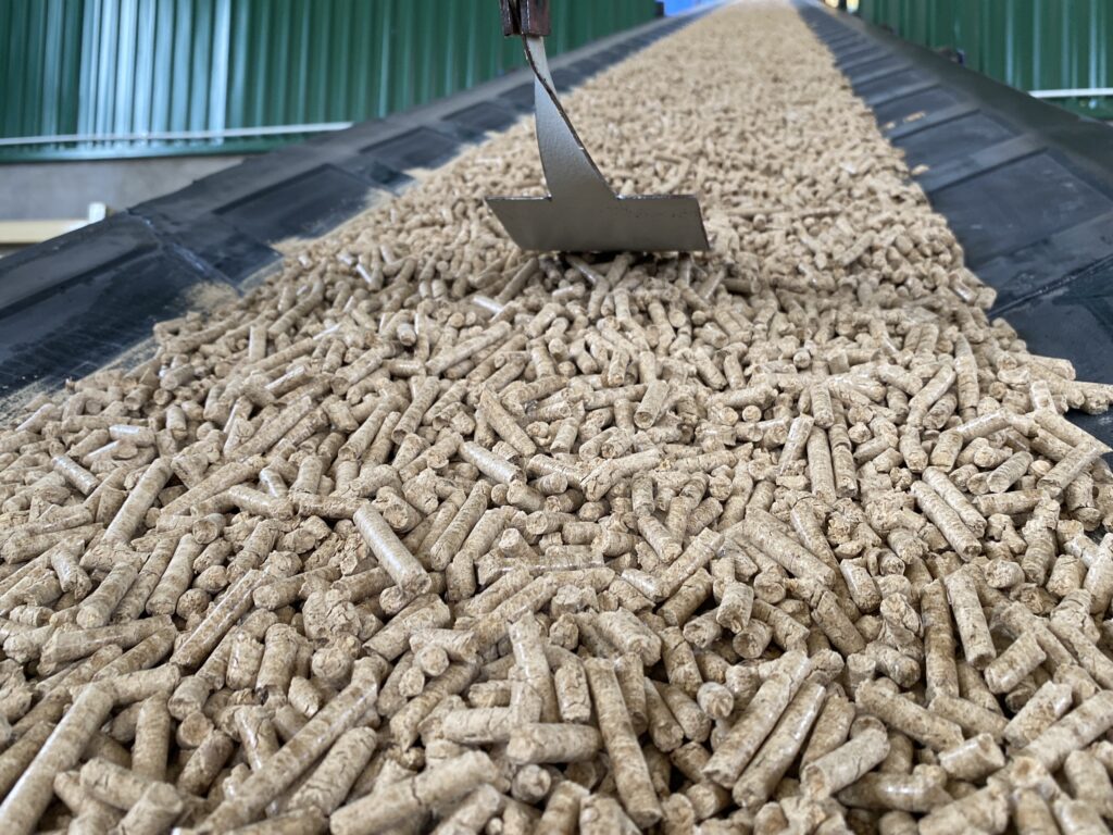 Nhiên liệu biomass, sinh khối là gì?