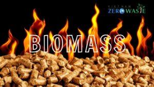 biomass