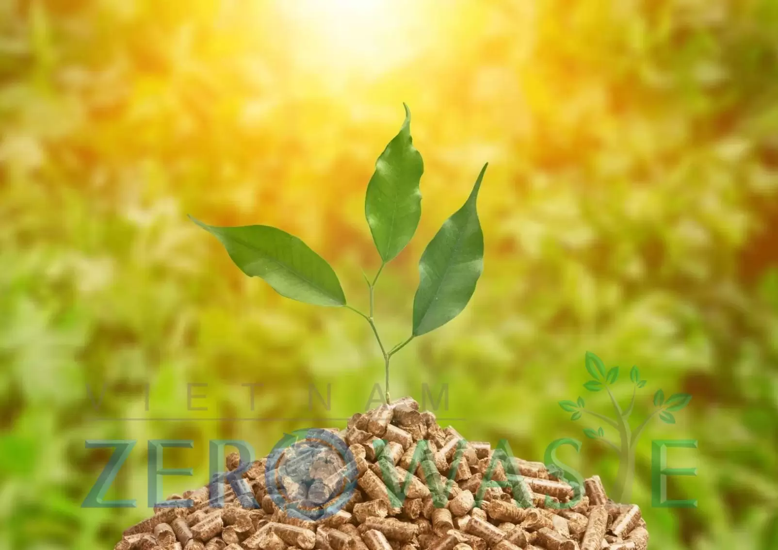 Lò hơi biomass sử dụng nhiên liệu đốt chính là biomass