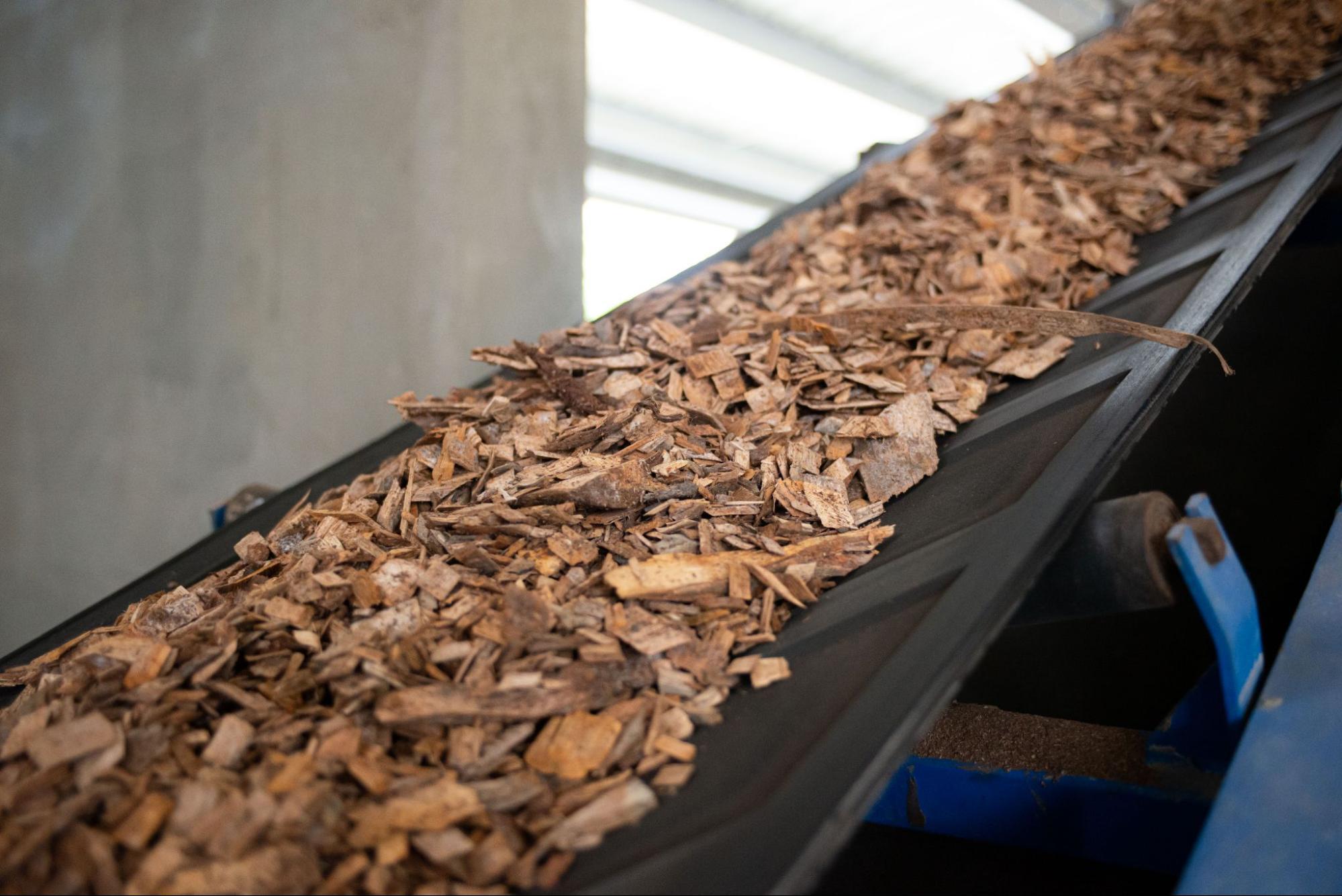 Củi là nhiên liệu lâu đời nhất trên thế giới.