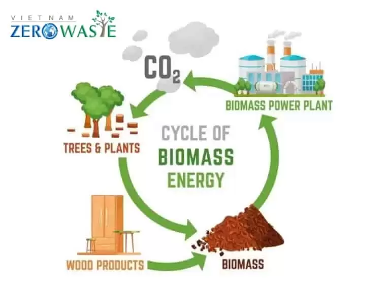 Thị ngôi trường nhiên liệu biomass bên trên Việt Nam