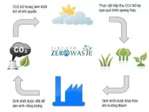 Chu trình tái tạo của Biomass 