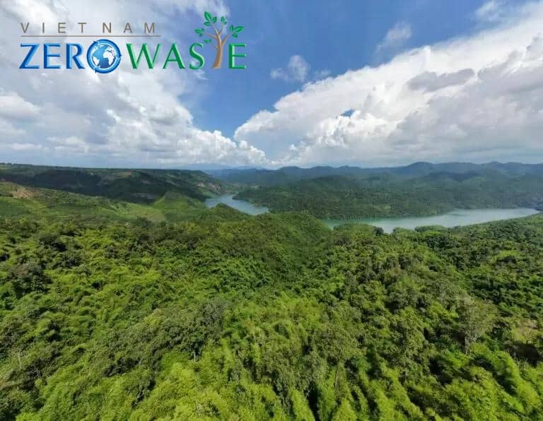 Lợi ích của biomass đối với môi trường