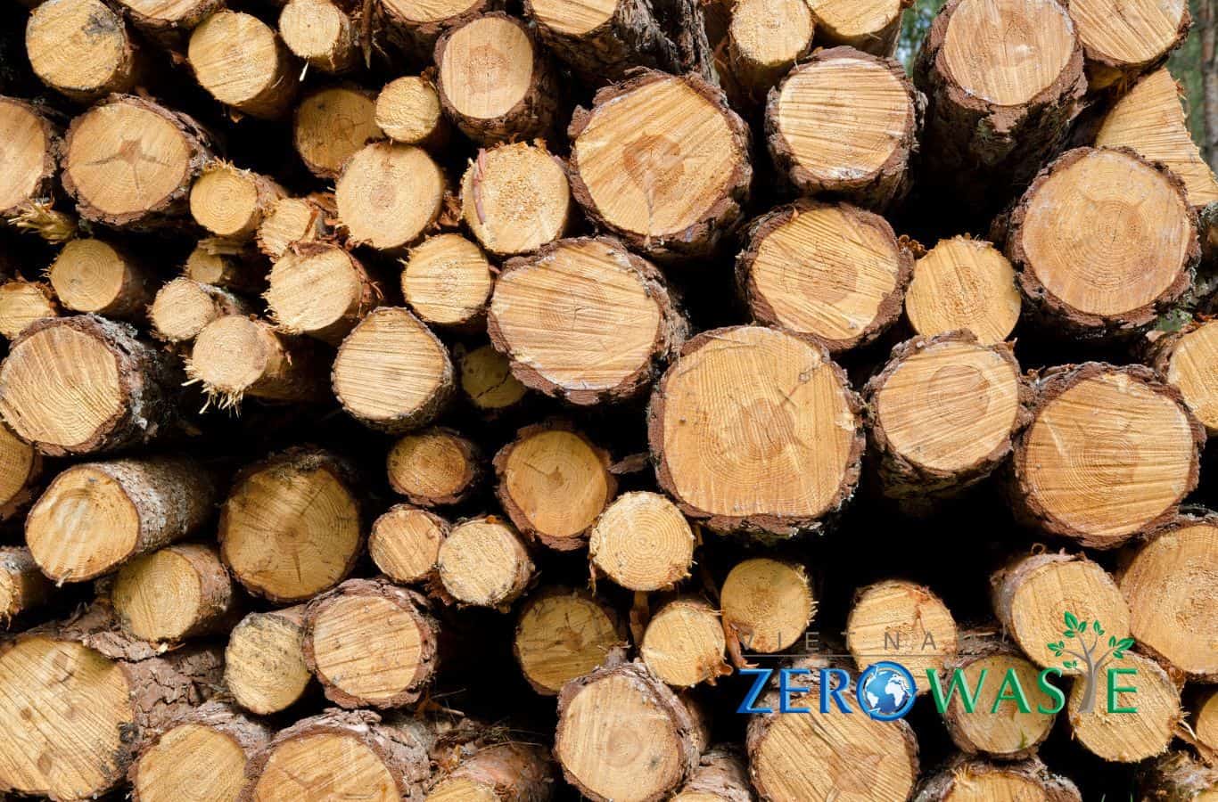 Quá trình sản xuất sinh khối rừng