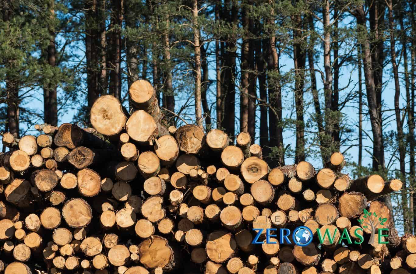 Sử dụng sinh khối rừng