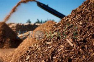 Lò hơi biomass giúp doanh nghiệp