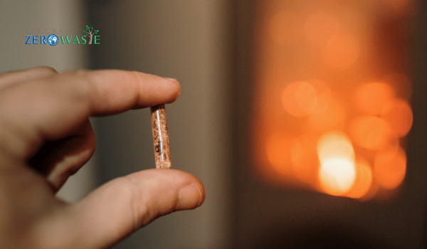 Lò hơi biomass sử dụng nguồn năng lượng tái tạo