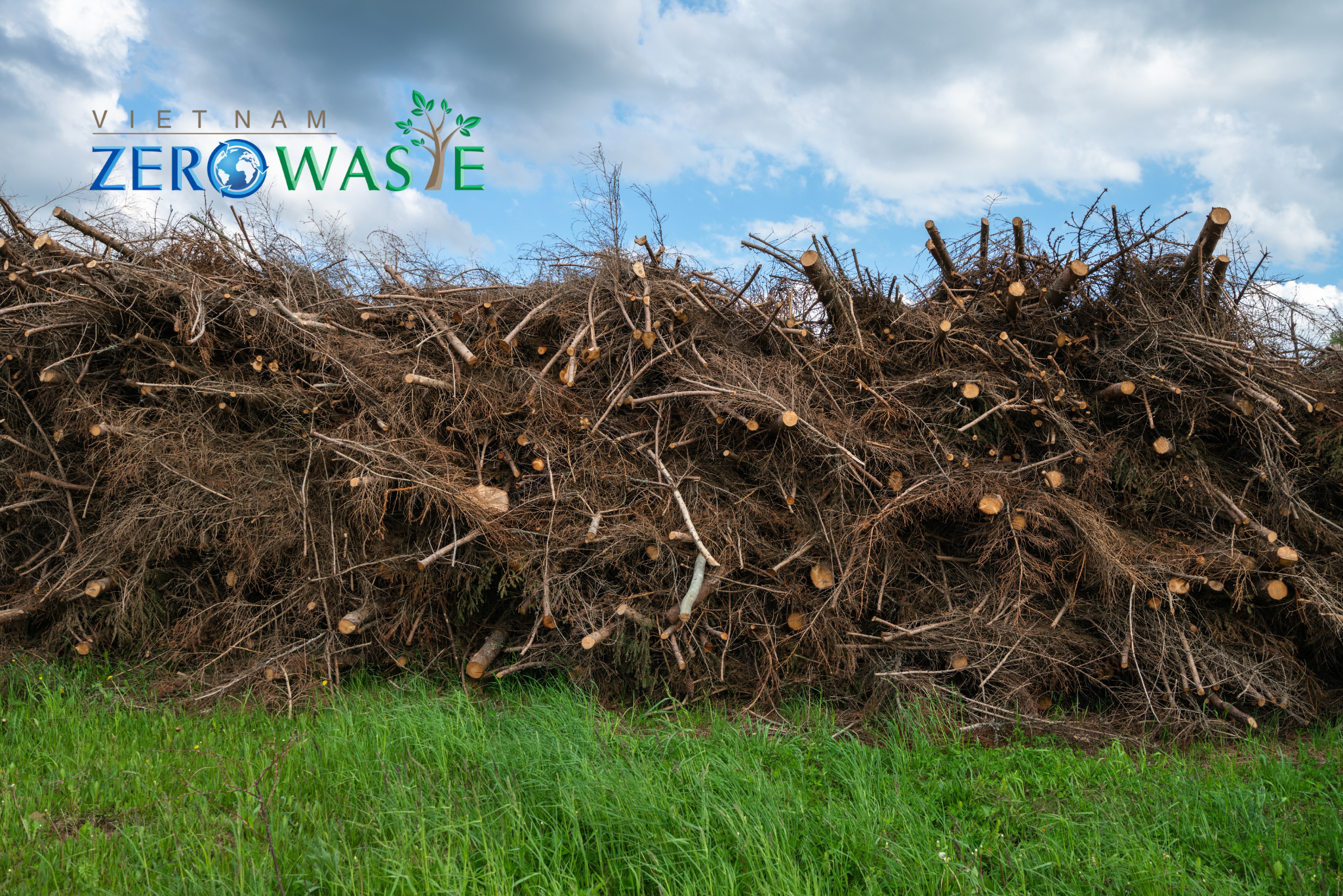 Năng lượng sinh khối thường sử dụng các loại vật liệu sinh học