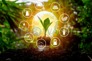 Năng lượng sinh khối với các dạng năng lượng khác