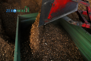 Tương lai sinh khối