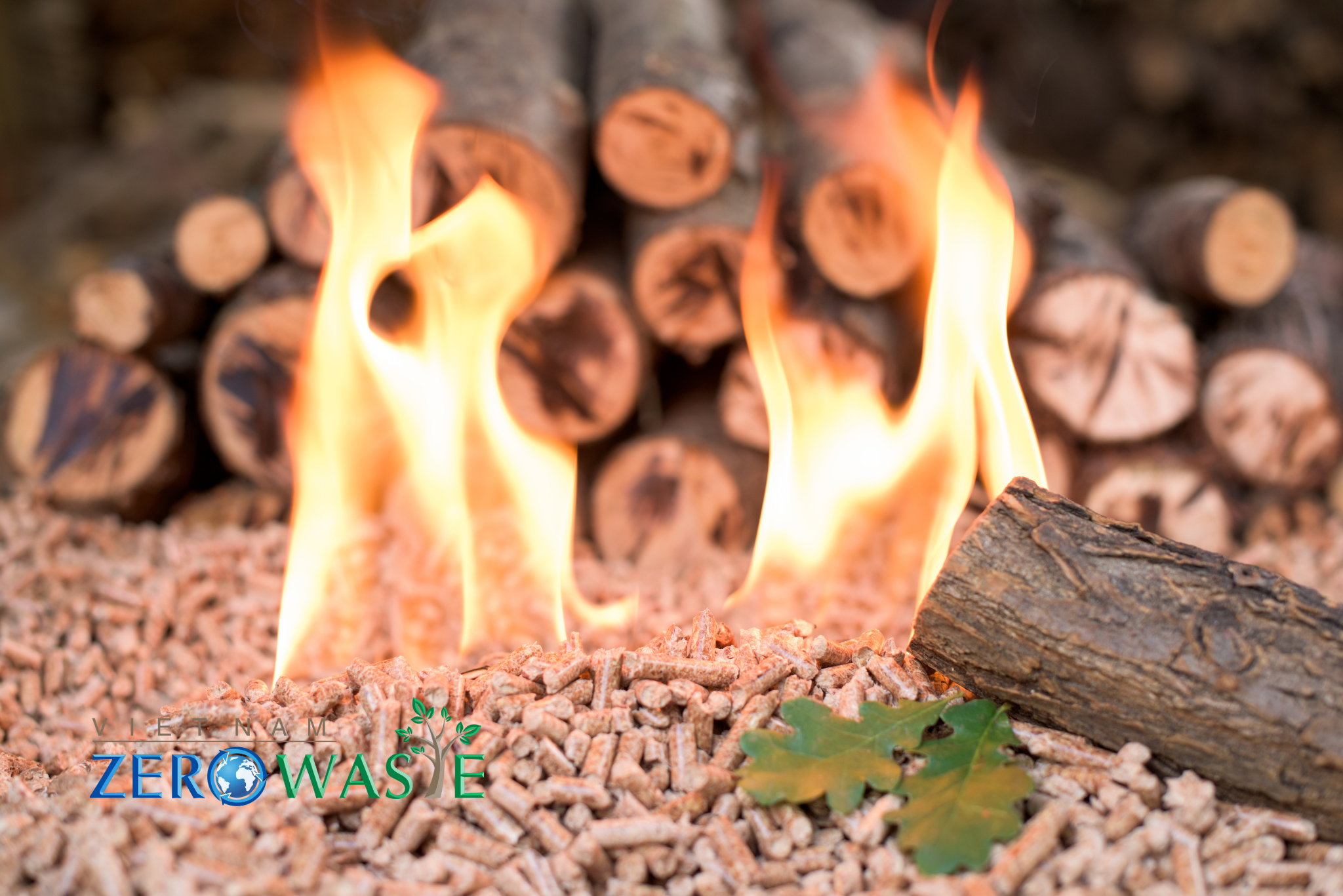 Tương lai sinh khối - Phát triển năng lượng sạch tại Việt Nam