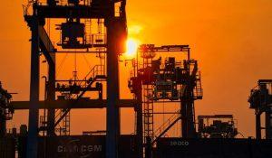 VẬT LIỆU SINH HỌC TRONG NGÀNH CÔNG NGHIỆP