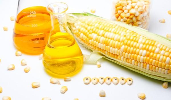 Nhiên liệu sinh học dùng trong công nghiệp