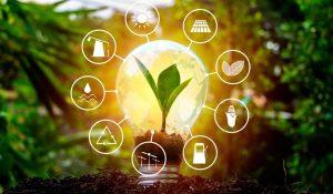 Đầu tư năng lượng tái tạo trên toàn cầu như thế nào?