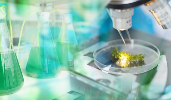 Sản phẩm được tạo ra thông qua quá trình công nghệ hiện đại