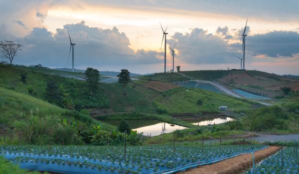 Tình hình đầu tư chuyển biến vô cùng tốt