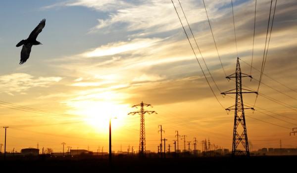 Cải tiến lưới điện có thật sự cần thiết?