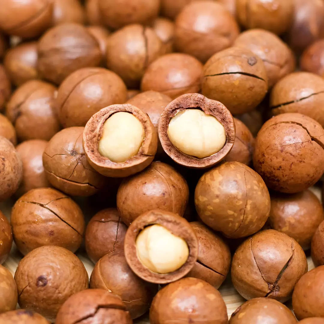 Vỏ Macca