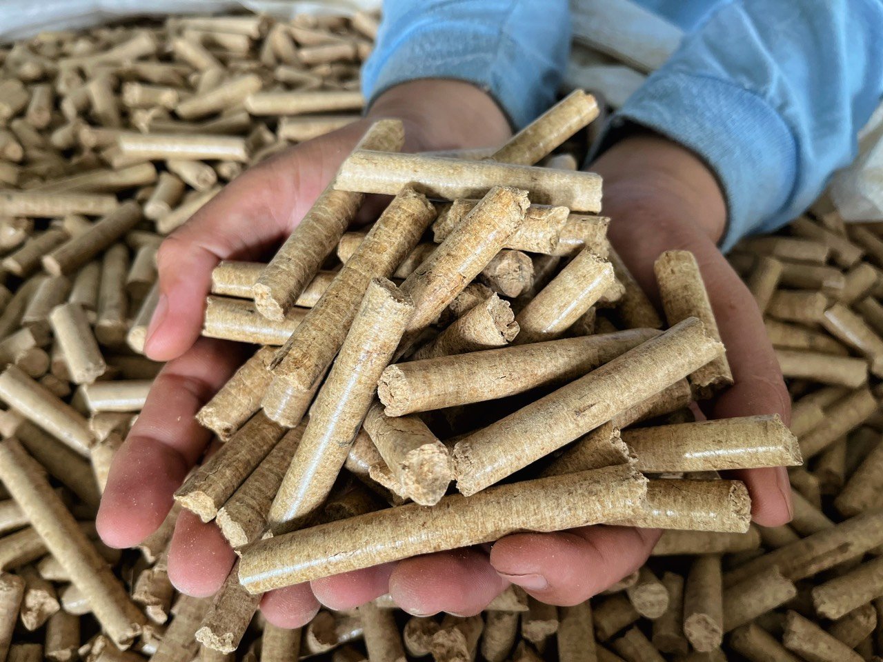 Viên Nén Trấu